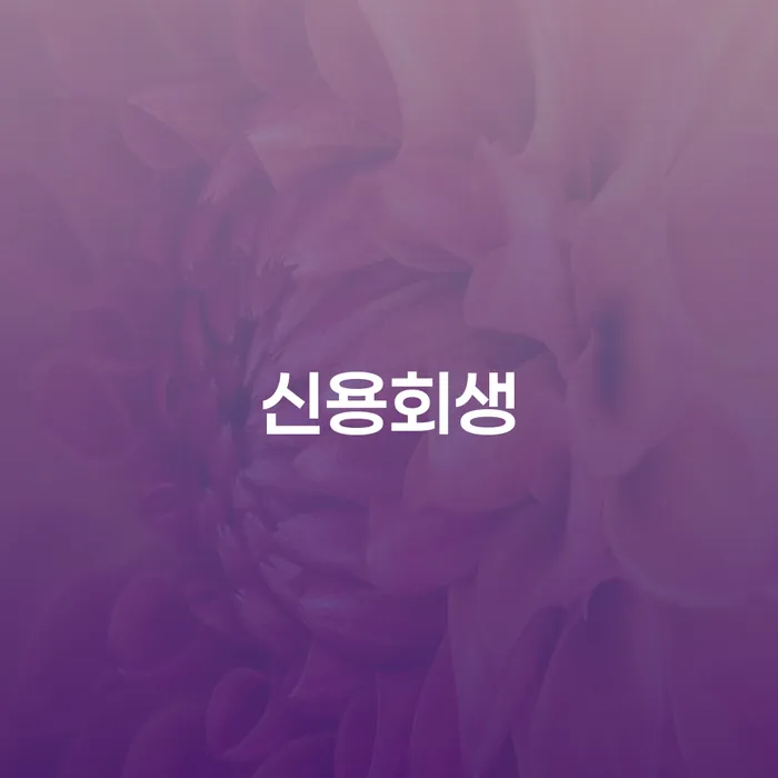 카드가맹점대출 연체 시 빚 합법적인 빠른방법 잘하는 곳