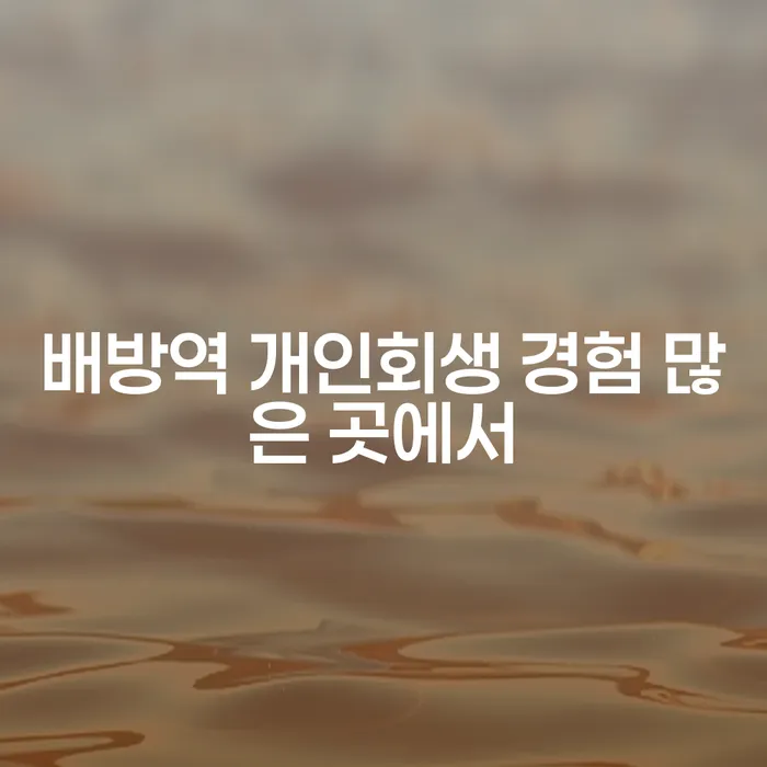 배방역 개인회생 경험 많은 곳에서