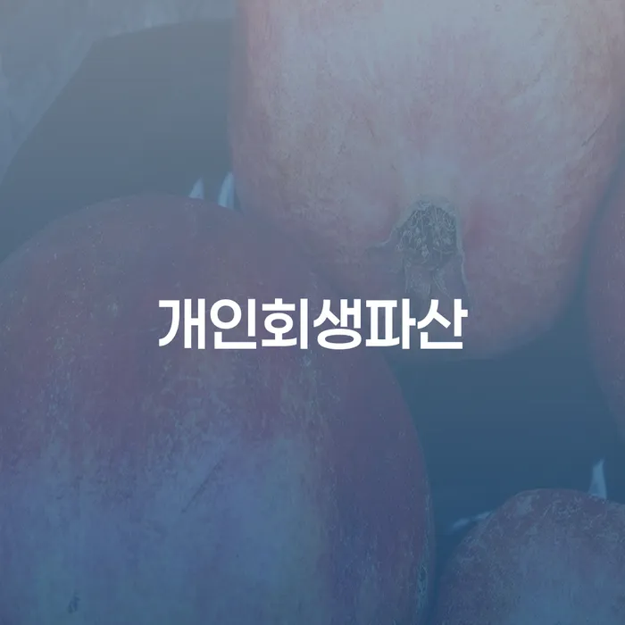 완주군 개인회생 파산 절차와 성공 사례